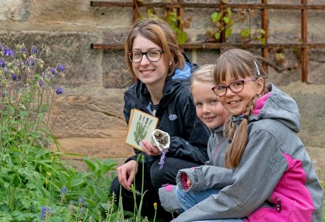 Eine Frau und zwei Mädchen sammeln im Domgarten Heilpflanzen
