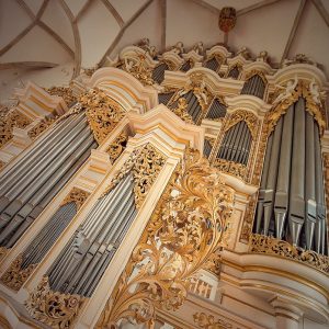 Ladegast organ in Merseburg Cathedral